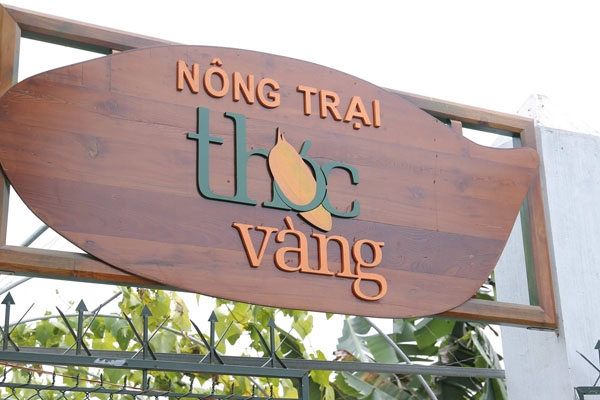 Nông trại Thóc Vàng