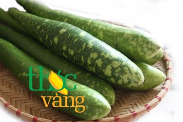 Bầu
