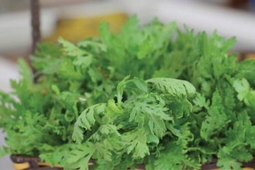 Cải cúc - Tuệ Viên