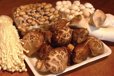 Nấm hỗn hợp