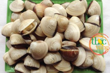 Nghêu sạch Lenger