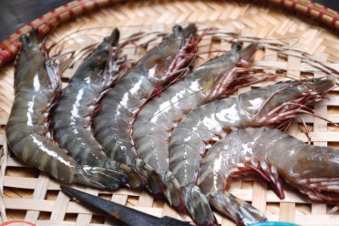 Tôm sú Phú Quốc