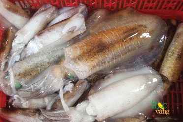 Mực lá Phú Quốc
