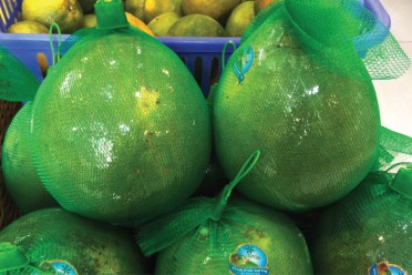 Bưởi da xanh hữu cơ